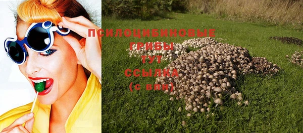 соль курить ск Коряжма