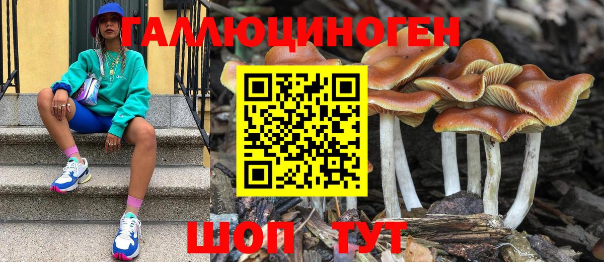 Галлюциногенные грибы ЛСД  Вход с VPN  Череповец 