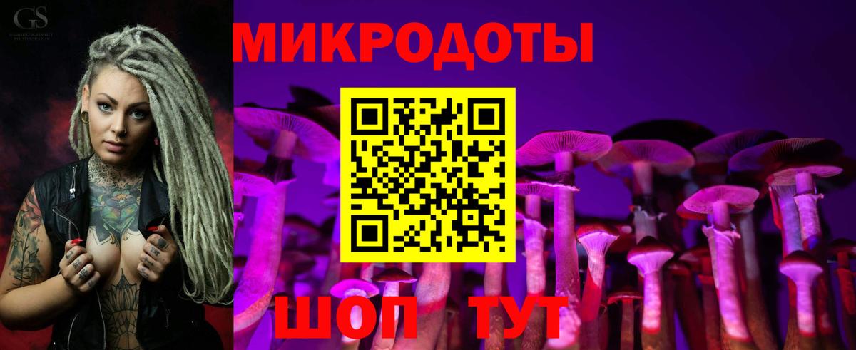 Галлюциногенные грибы Psilocybine cubensis  Псилоцибиновые грибы ЛСД  Череповец 