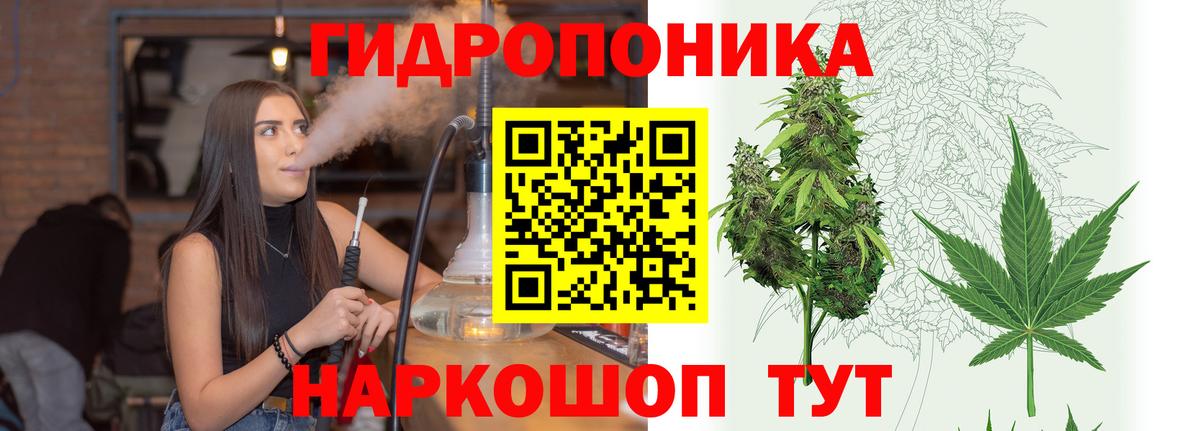 МАРИХУАНА тримм  Шишки марихуана White Widow  Вход с VPN  Череповец  Бошки Шишки тримм 